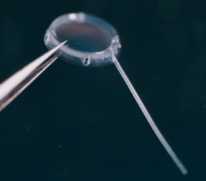 The original Molteno® Single plate Implant (S1), oblique view